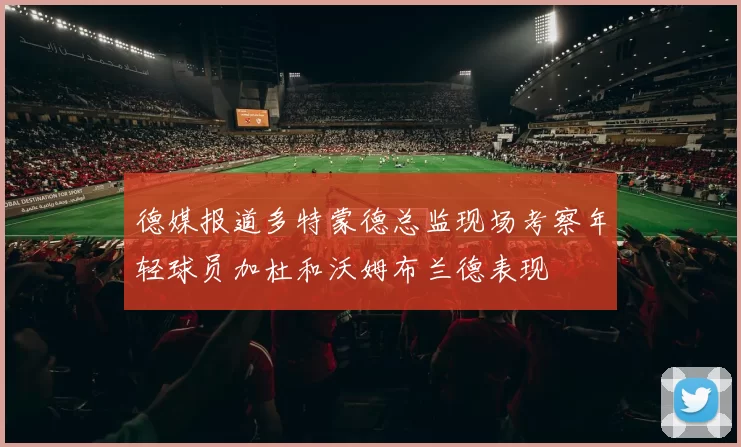 德媒报道多特蒙德总监现场考察年轻球员加杜和沃姆布兰德表现